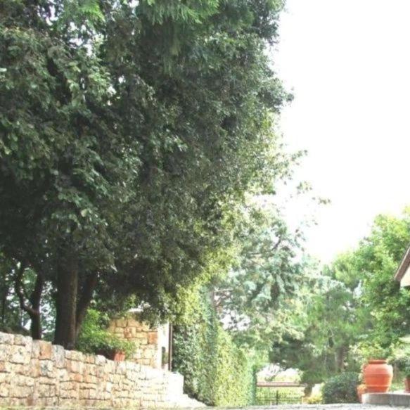 Casa Marisa Villa Vacanza Castellana Grotte Exterior foto