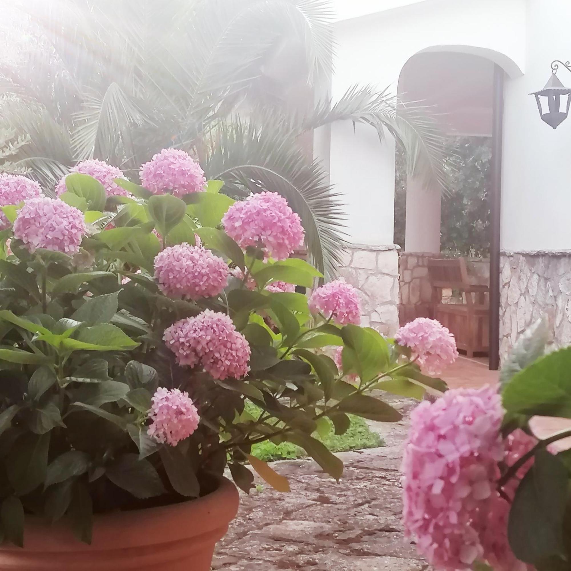 Casa Marisa Villa Vacanza Castellana Grotte Exterior foto
