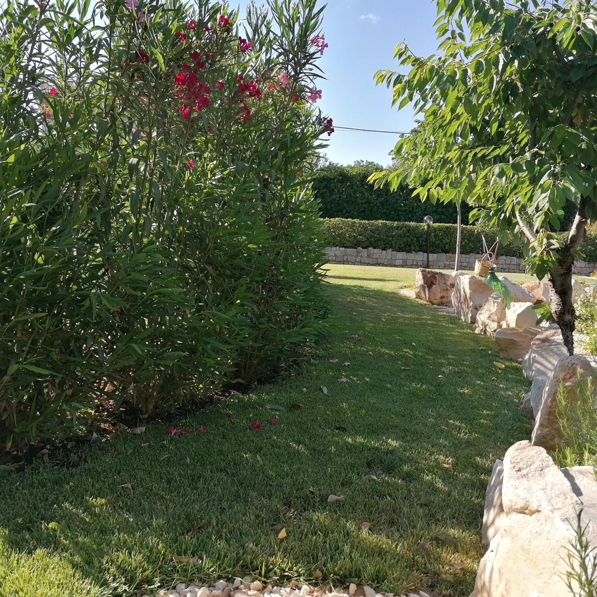 Casa Marisa Villa Vacanza Castellana Grotte Exterior foto